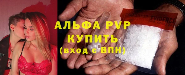 шишки Ладушкин