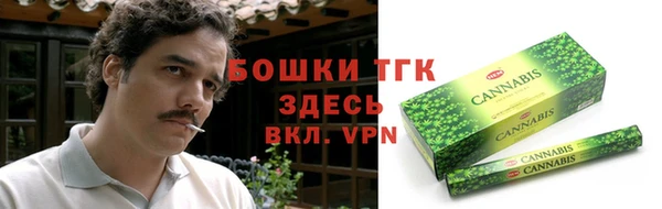 винт Лабытнанги