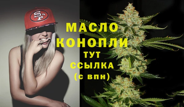 винт Лабытнанги