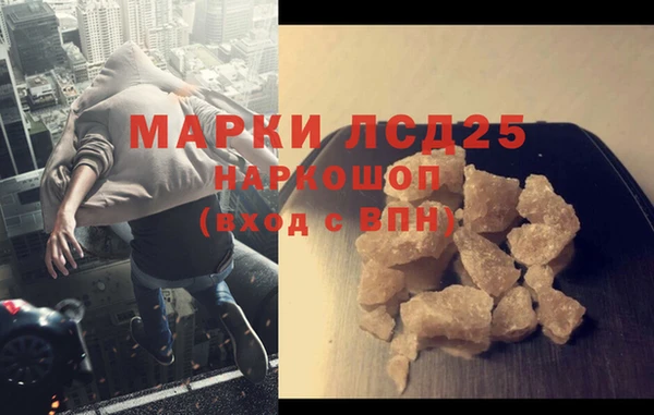 шишки Ладушкин